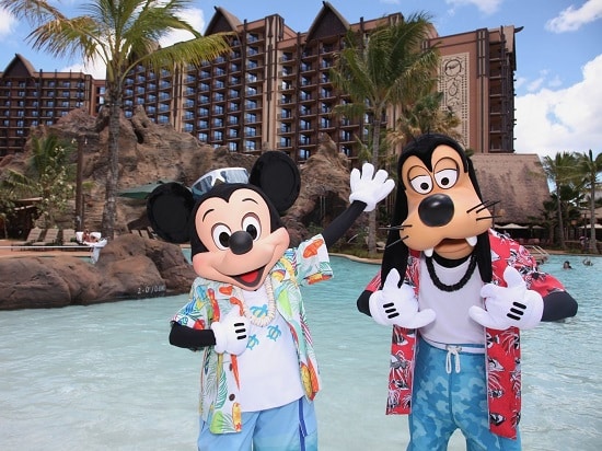 Disney Vacation Club Rentals