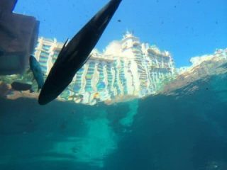 Atlantis - Aquaventure Water Park